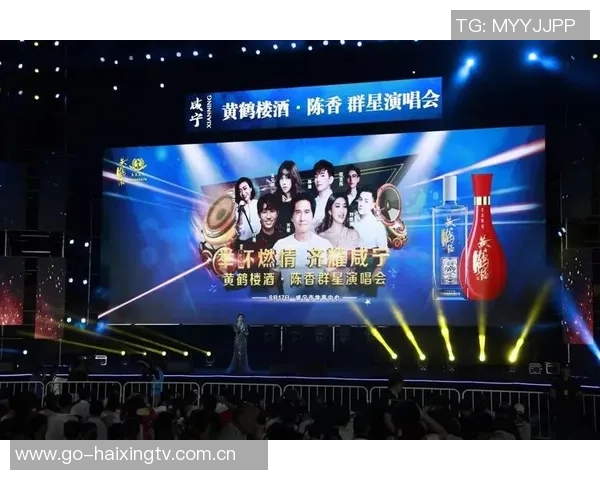 黄鹤楼下的足球传奇星光闪耀的运动盛宴与历史交融